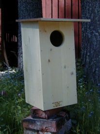 Fågelholk för knipa och pärluggla.